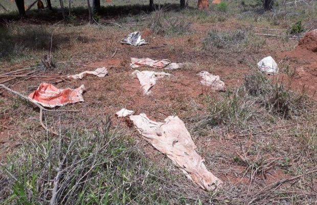 Grupo é detido durante operação 'Fazenda Segura' em Dores do Indaiá